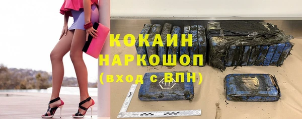 ешки Алексин