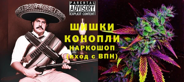 ешки Алексин