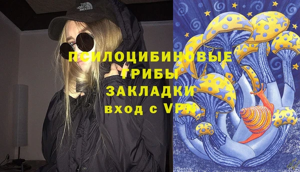 ешки Алексин